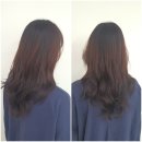 슬기머리방