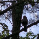 동천근린공원 이미지