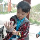 열린창의어린이집 이미지