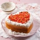 (주)힐링펫 이미지