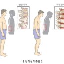 강진-39 | 四字成語 총정리 &lt;ㄱ&gt; 235 강직개시~강진백운동원림