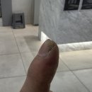 망우역튼튼척의원 | 정말 가지가지 하는 중