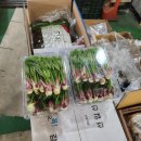 원주시 농산물공영도매시장 이미지