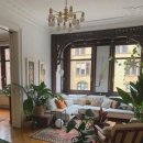 식물 인테리어 이미지