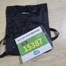 통일에너지(주) 통일주유소 | 2025년 DMZ OPEN 평화 마라톤, 파주에서 열린 통일대교를 달려 볼 수 있었던 마라톤 후기 !