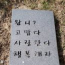 어떤 묘비의 글(The words written on a tombstone) 이미지
