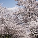 예래동-4 이미지