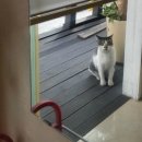 아리따울나 네이버블로그