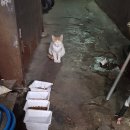 송정GARAGE | [부산]2박3일 부산여행 리얼후기