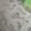 디에이치상사 이미지