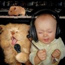 냥이시대 이미지