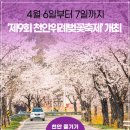 ■천안/하남 벚꽃축제 행사 🧡영상스케치(M.V)/하남 -공연풀영상.신한국TV 이미지