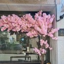 까사피에스타 원주점 이미지