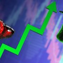 주식회사판디아리테일 | 3/11 개장전 꼭 알아야할 것들 Bloomberg