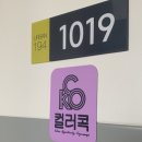 컬러콕 이미지