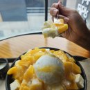 울산대 설빙 방문 후기 !애플망고설빙+아아는 진리!