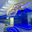 부산과학관 지하층 이미지