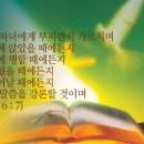 하가다교육 티스토리