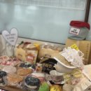 블루밍 펫 살롱 이미지