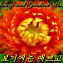 20260722(수) 무직과 현직 이미지
