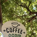 아우라지수리취떡