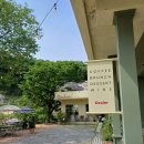 용인 고기리 코울러,,, 숲세권, 계세권 다 잡은 K-힐링 카페 내돈내산 후기