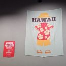 하와이장 이미지