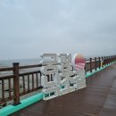 씨사이드모텔1 | 강아지와 함께한 -궁평항 1박2일 캠핑 후기 (낚시 스팟, 화장실 위치)