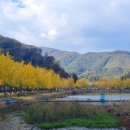 쌍이리귀바위 이미지