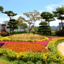 보성군청 이미지