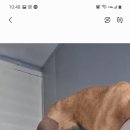 돼지사냥 - 관악구 난곡로78길 20 | 돼지사냥