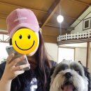 세이브동물약국 이미지