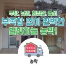 별빛하늘 이미지