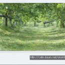 국선농장 이미지