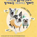 헤지스호텔
