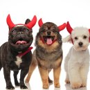 광화문농장 이미지