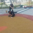 나래특수