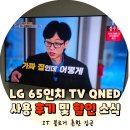 인기1 | 엘지 65인치 TV QNED 65QNED65TBA 가성비 인기 1위 추천 후기