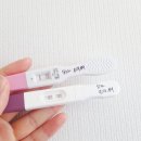 김란미즈산부인과 이미지