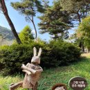 지리산정원 유아숲체험원 이미지