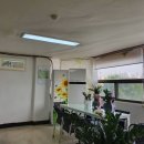 작전시장야채과일