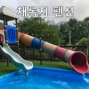 풀잎 - 강릉시 주문로 129 | [가평 가성비 펜션] '채록지 펜션' 주말 내돈내산 후기 (풀잎/해오름 방 비교, 수영장, 개별 바베큐...