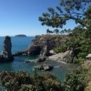 제주 서귀포 외돌개 이미지