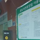 바다와 숲 | [완도 여행] 바다와 숲이 어우러진 완도 자연휴양림 구실잣밤나무방 후기 (feat. 완도 낚시🎣)