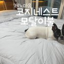 레노마홈부산