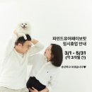 파인드유어페이보릿
