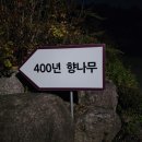 강남동-11 이미지