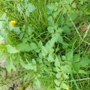 종합운동장길 이미지