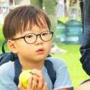 대한안경 이미지