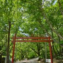 사찰 순례 두 번째 - 살아남은 자들의 슬픔, 동학사